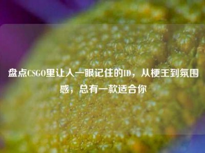 盘点CSGO里让人一眼记住的ID，从梗王到氛围感，总有一款适合你