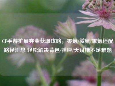 CF手游扩展券全获取攻略，零氪/微氪/重氪适配路径汇总 轻松解决背包/弹匣/天赋槽不足难题