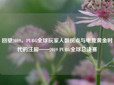 回望2019，PUBG全球玩家人数拐点与电竞黄金时代的注脚——2019 PUBG全球总决赛