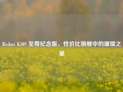 Redmi K30S 至尊纪念版，性价比旗舰中的璀璨之星