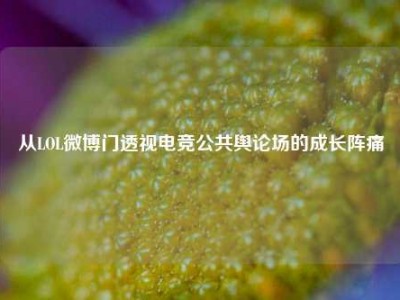从LOL微博门透视电竞公共舆论场的成长阵痛