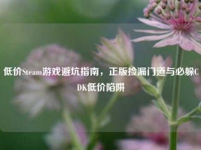 低价Steam游戏避坑指南，正版捡漏门道与必躲CDK低价陷阱