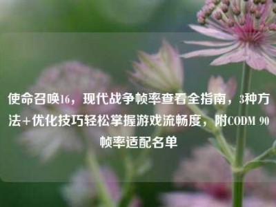使命召唤16，现代战争帧率查看全指南，3种方法+优化技巧轻松掌握游戏流畅度，附CODM 90帧率适配名单