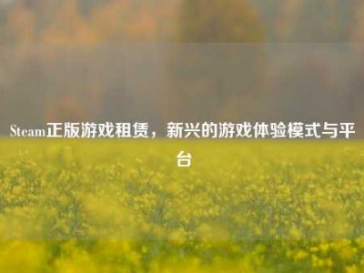 Steam正版游戏租赁，新兴的游戏体验模式与平台