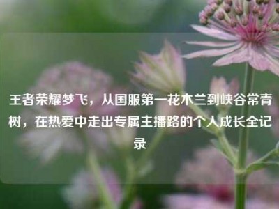王者荣耀梦飞，从国服第一花木兰到峡谷常青树，在热爱中走出专属主播路的个人成长全记录