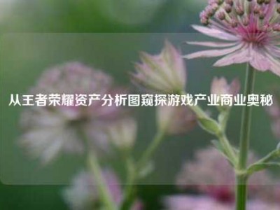 从王者荣耀资产分析图窥探游戏产业商业奥秘