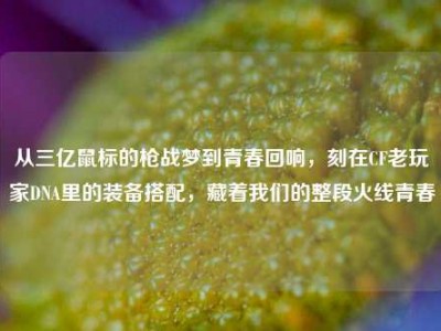 从三亿鼠标的枪战梦到青春回响，刻在CF老玩家DNA里的装备搭配，藏着我们的整段火线青春