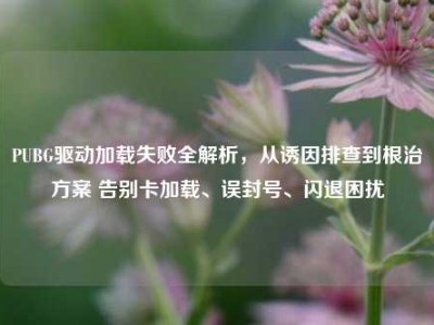 PUBG驱动加载失败全解析，从诱因排查到根治方案 告别卡加载、误封号、闪退困扰