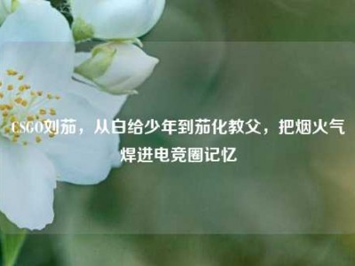 CSGO刘茄，从白给少年到茄化教父，把烟火气焊进电竞圈记忆