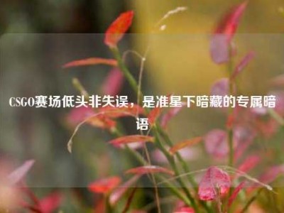 CSGO赛场低头非失误，是准星下暗藏的专属暗语