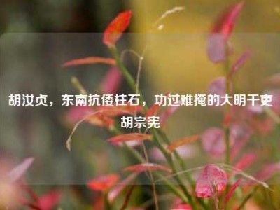 胡汝贞，东南抗倭柱石，功过难掩的大明干吏胡宗宪