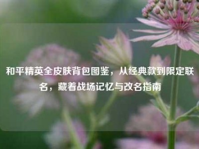 和平精英全皮肤背包图鉴，从经典款到限定联名，藏着战场记忆与改名指南