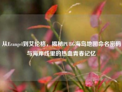从Erangel到艾伦格，揭秘PUBG海岛地图命名密码与海岸线里的热血青春记忆