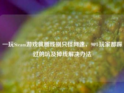 一玩Steam游戏就断线别只怪网速，90%玩家都踩过的坑及掉线解决办法