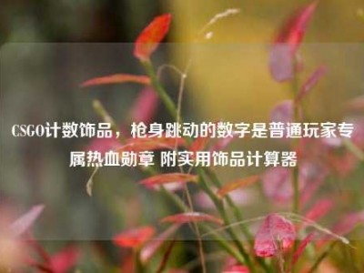 CSGO计数饰品，枪身跳动的数字是普通玩家专属热血勋章 附实用饰品计算器
