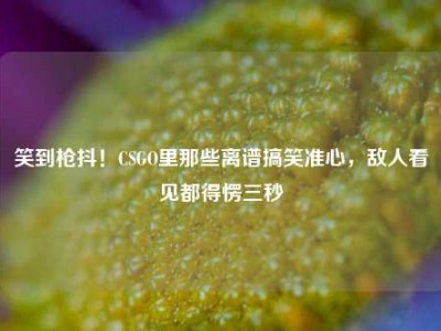 笑到枪抖！CSGO里那些离谱搞笑准心，敌人看见都得愣三秒