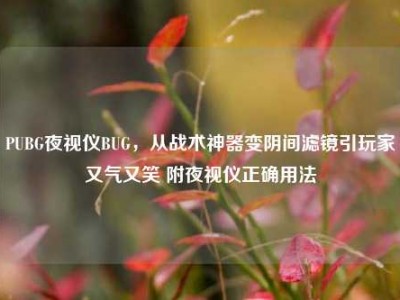 PUBG夜视仪BUG，从战术神器变阴间滤镜引玩家又气又笑 附夜视仪正确用法