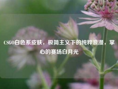 CSGO白色系皮肤，极简主义下的纯粹浪漫，掌心的赛场白月光