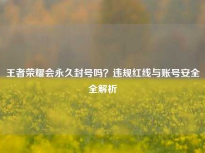 王者荣耀会永久封号吗？违规红线与账号安全全解析