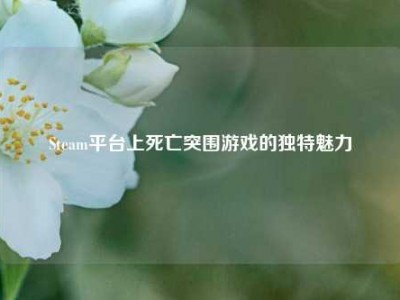 Steam平台上死亡突围游戏的独特魅力