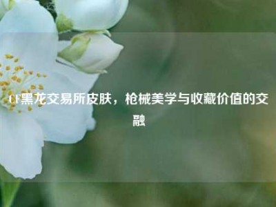 CF黑龙交易所皮肤，枪械美学与收藏价值的交融