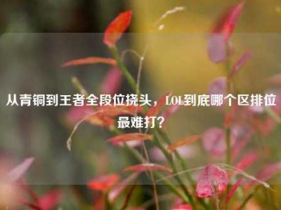 从青铜到王者全段位挠头，LOL到底哪个区排位最难打？