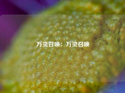 万灵召唤：万灵召唤
