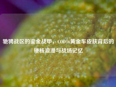 驰骋战区的鎏金战甲，COD16黄金车皮肤背后的硬核浪漫与战场记忆