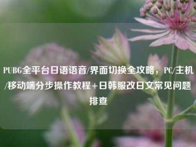 PUBG全平台日语语音/界面切换全攻略，PC/主机/移动端分步操作教程+日韩服改日文常见问题排查