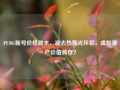 PUBG账号价格跳水，褪去热度光环后，虚拟资产价值何存？