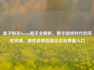 盒子购买Steam相关全解析，数字游戏时代的实体浪漫、理性消费指南及会员界面入口