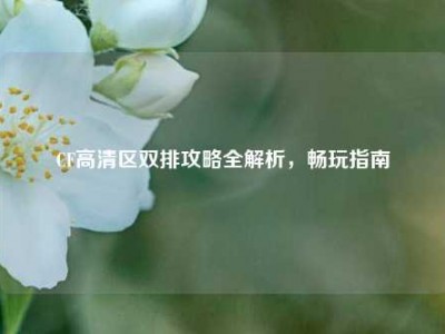 CF高清区双排攻略全解析，畅玩指南