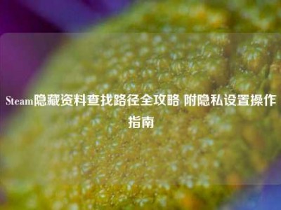 Steam隐藏资料查找路径全攻略 附隐私设置操作指南