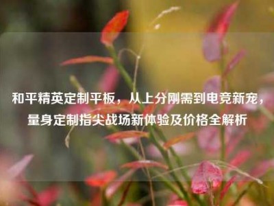 和平精英定制平板，从上分刚需到电竞新宠，量身定制指尖战场新体验及价格全解析