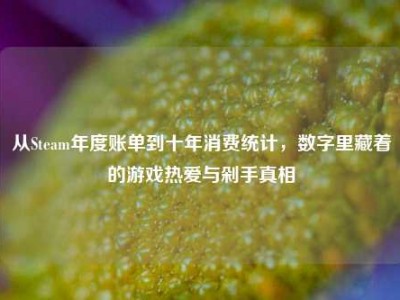 从Steam年度账单到十年消费统计，数字里藏着的游戏热爱与剁手真相