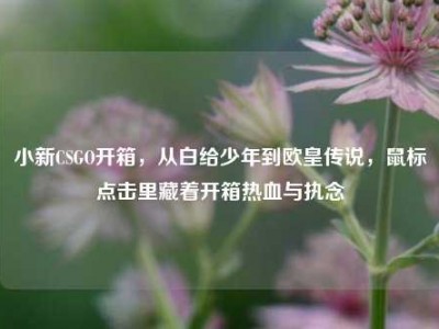 小新CSGO开箱，从白给少年到欧皇传说，鼠标点击里藏着开箱热血与执念
