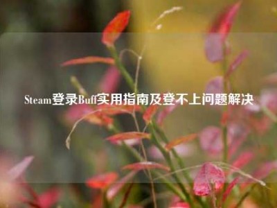 Steam登录Buff实用指南及登不上问题解决