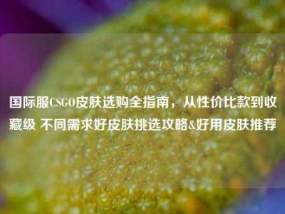 国际服CSGO皮肤选购全指南，从性价比款到收藏级 不同需求好皮肤挑选攻略&好用皮肤推荐