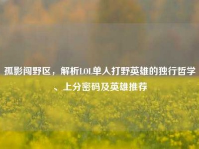 孤影闯野区，解析LOL单人打野英雄的独行哲学、上分密码及英雄推荐