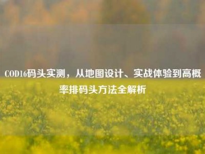 COD16码头实测，从地图设计、实战体验到高概率排码头方法全解析