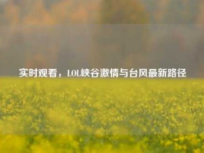 实时观看，LOL峡谷激情与台风最新路径