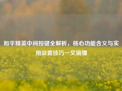 和平精英中间按键全解析，核心功能含义与实用设置技巧一文搞懂