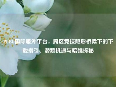 PUBG国际服外平台，跨区竞技隐形桥梁下的下载指引、潜藏机遇与暗礁探秘