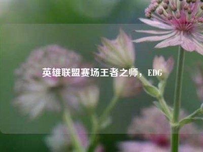 英雄联盟赛场王者之师，EDG