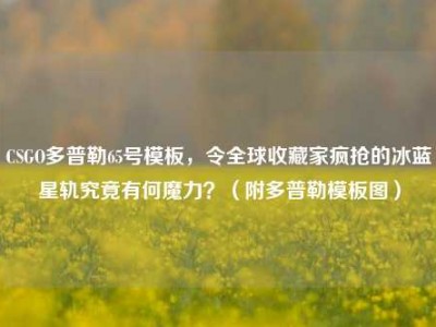 CSGO多普勒65号模板，令全球收藏家疯抢的冰蓝星轨究竟有何魔力？（附多普勒模板图）