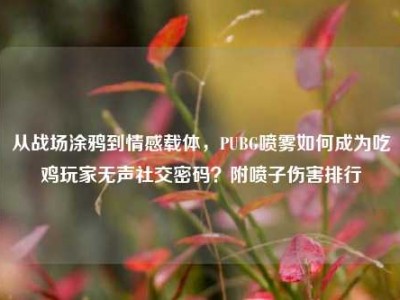 从战场涂鸦到情感载体，PUBG喷雾如何成为吃鸡玩家无声社交密码？附喷子伤害排行