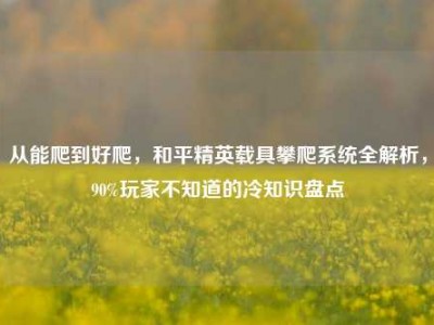 从能爬到好爬，和平精英载具攀爬系统全解析，90%玩家不知道的冷知识盘点