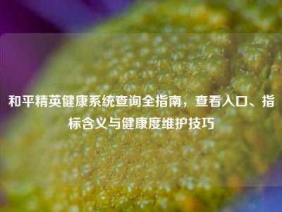 和平精英健康系统查询全指南，查看入口、指标含义与健康度维护技巧