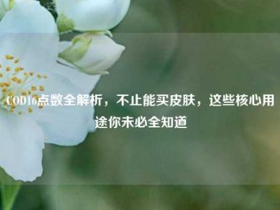 COD16点数全解析，不止能买皮肤，这些核心用途你未必全知道