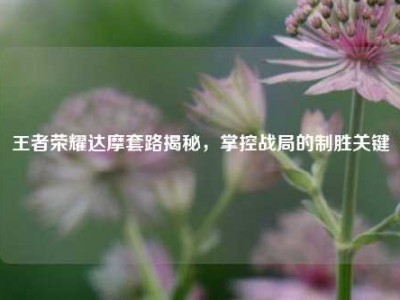 王者荣耀达摩套路揭秘，掌控战局的制胜关键